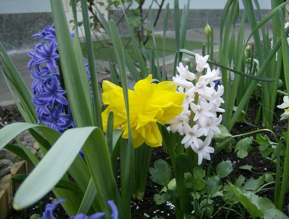 Il Giardino Delle Farfalle Valgioie Екстер'єр фото